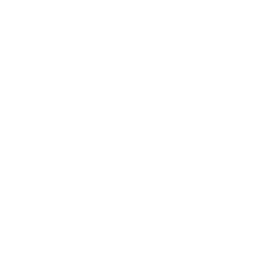 Right Arrow Icon